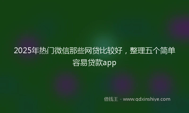 2025年热门微信那些网贷比较好，整理五个简单容易贷款app