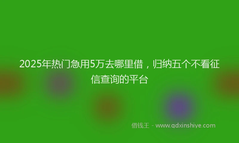 2025年热门急用5万去哪里借，归纳五个不看征信查询的平台