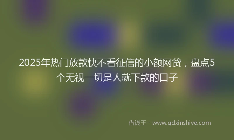 2025年热门放款快不看征信的小额网贷，盘点5个无视一切是人就下款的口子