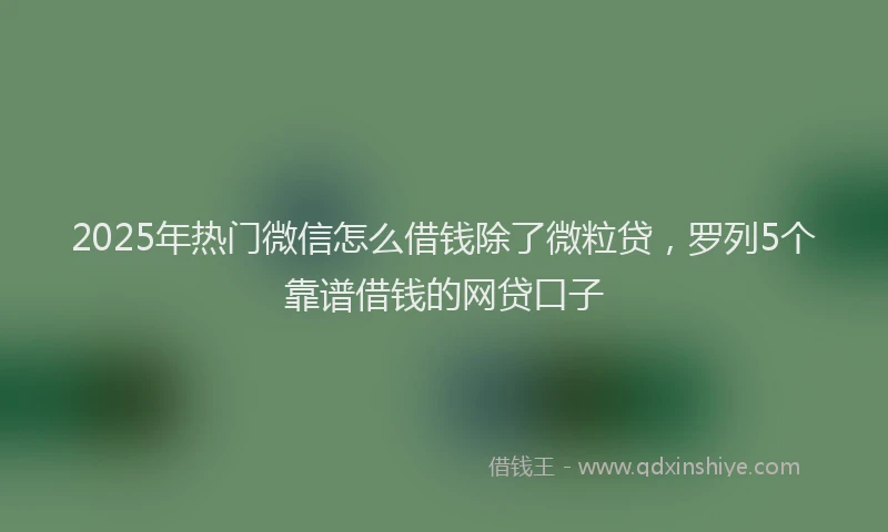 2025年热门微信怎么借钱除了微粒贷，罗列5个靠谱借钱的网贷口子