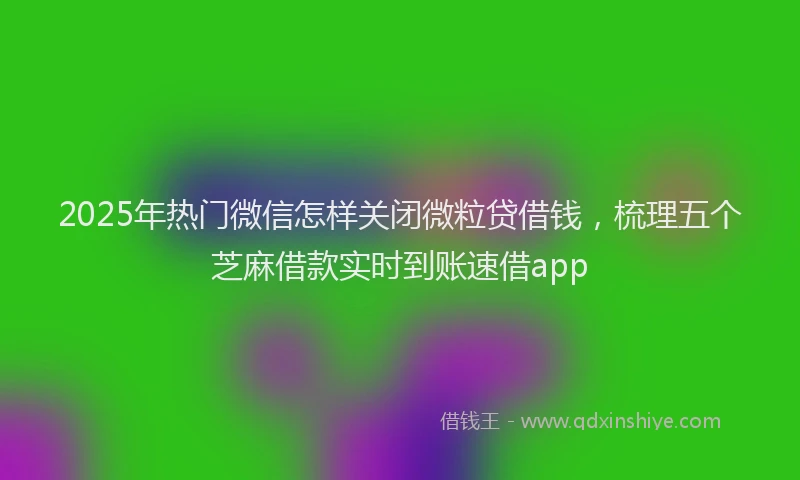 2025年热门微信怎样关闭微粒贷借钱，梳理五个芝麻借款实时到账速借app