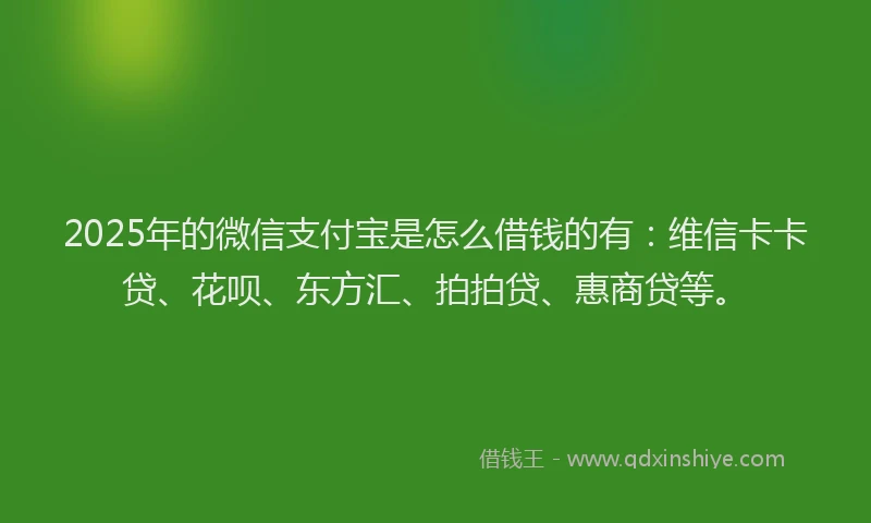 2025年的微信支付宝是怎么借钱的有：维信卡卡贷、花呗、东方汇、拍拍贷、惠商贷等。