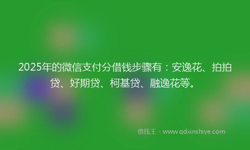 2025年的微信支付分借钱步骤有：安逸花、拍拍贷、好期贷、柯基贷、融逸花等。