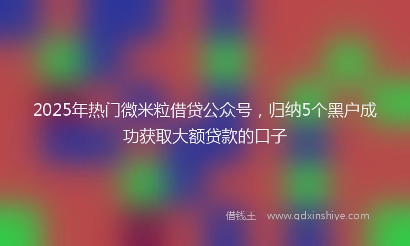 2025年热门微米粒借贷公众号，归纳5个黑户成功获取大额贷款的口子