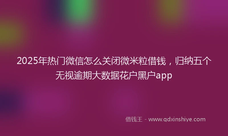 2025年热门微信怎么关闭微米粒借钱，归纳五个无视逾期大数据花户黑户app