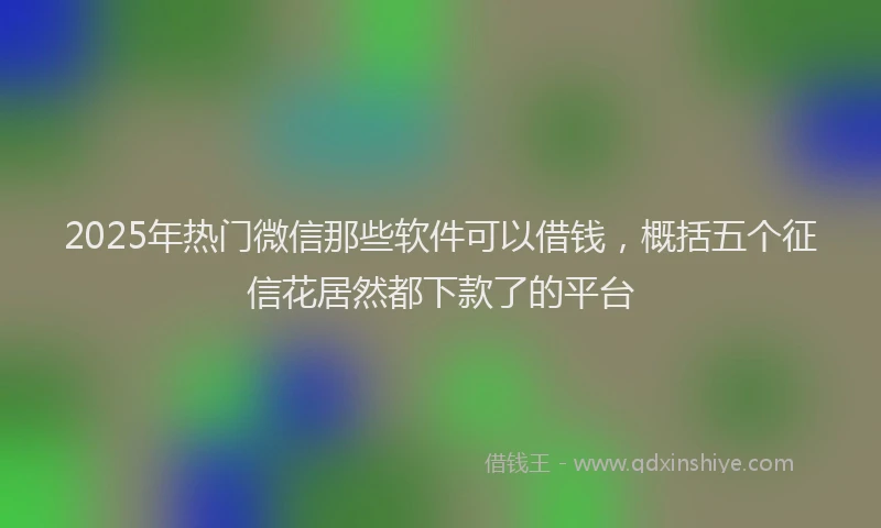 2025年热门微信那些软件可以借钱，概括五个征信花居然都下款了的平台