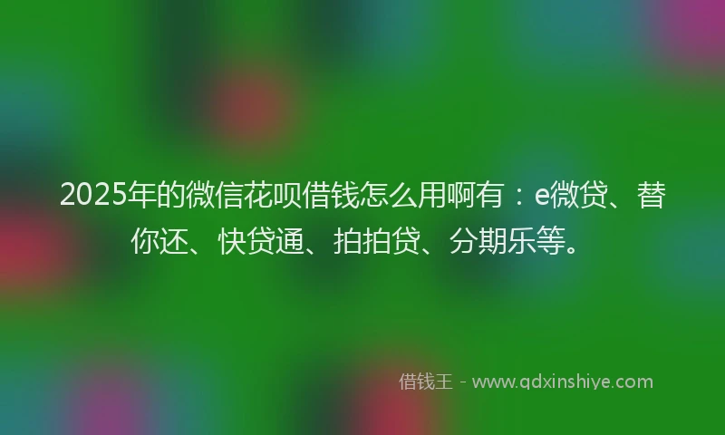2025年的微信花呗借钱怎么用啊有：e微贷、替你还、快贷通、拍拍贷、分期乐等。