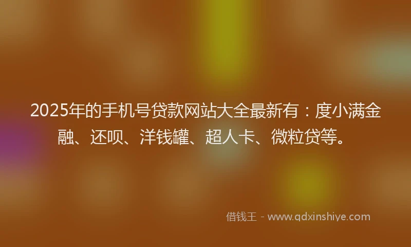 2025年的手机号贷款网站大全最新有：度小满金融、还呗、洋钱罐、超人卡、微粒贷等。
