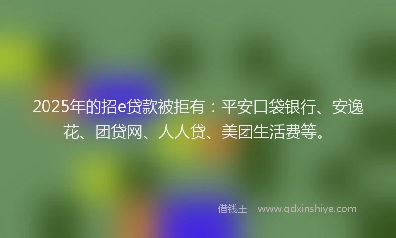 2025年的招e贷款被拒有：平安口袋银行、安逸花、团贷网、人人贷、美团生活费等。