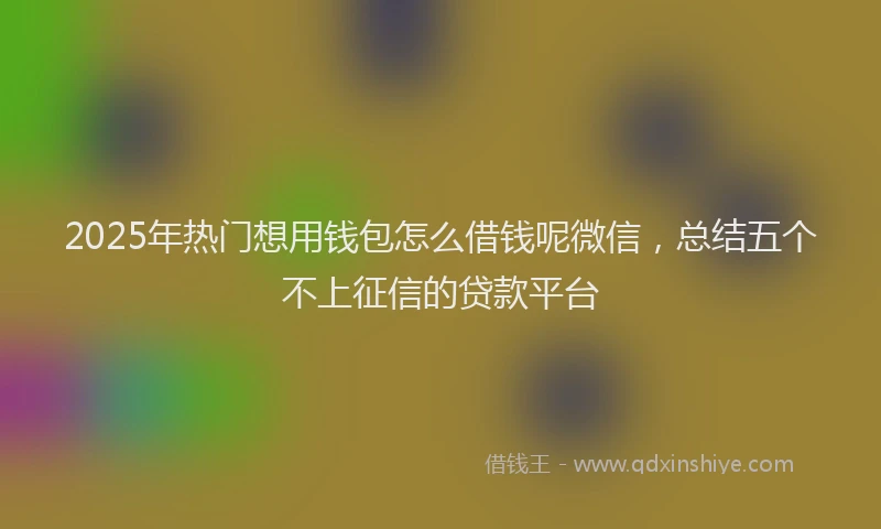 2025年热门想用钱包怎么借钱呢微信，总结五个不上征信的贷款平台