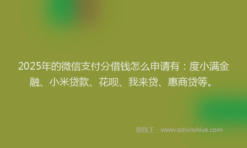 2025年的微信支付分借钱怎么申请有：度小满金融、小米贷款、花呗、我来贷、惠商贷等。