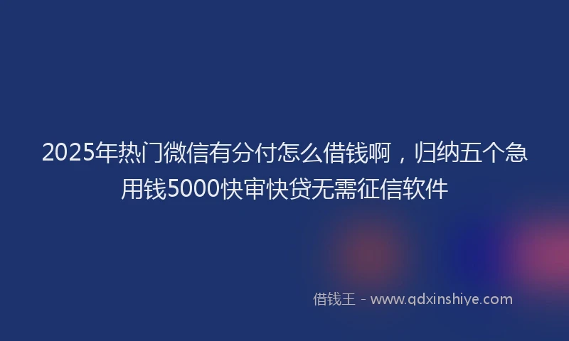 2025年热门微信有分付怎么借钱啊，归纳五个急用钱5000快审快贷无需征信软件