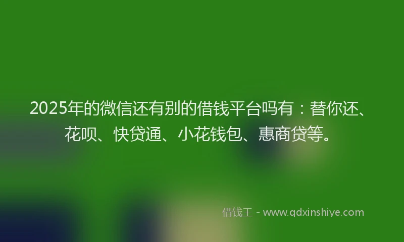 2025年的微信还有别的借钱平台吗有：替你还、花呗、快贷通、小花钱包、惠商贷等。