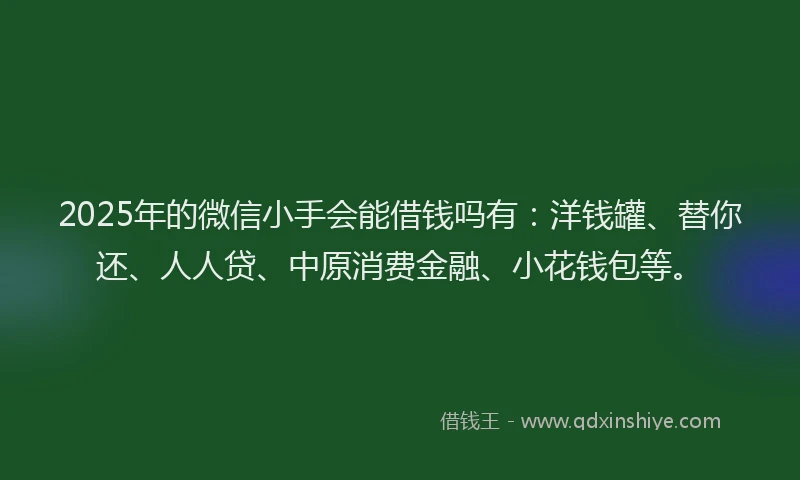 2025年的微信小手会能借钱吗有：洋钱罐、替你还、人人贷、中原消费金融、小花钱包等。