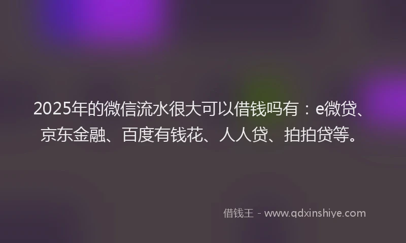 2025年的微信流水很大可以借钱吗有：e微贷、京东金融、百度有钱花、人人贷、拍拍贷等。