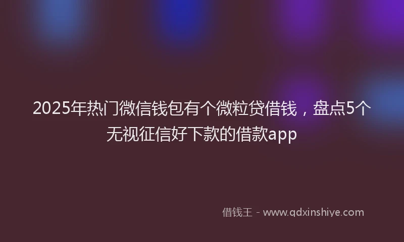 2025年热门微信钱包有个微粒贷借钱，盘点5个无视征信好下款的借款app