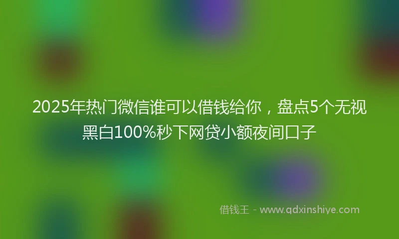 2025年热门微信谁可以借钱给你，盘点5个无视黑白100%秒下网贷小额夜间口子