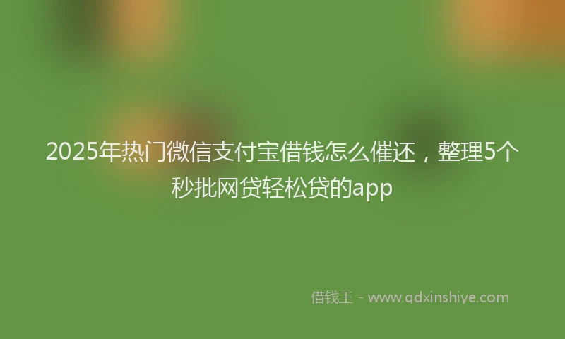 2025年热门微信支付宝借钱怎么催还，整理5个秒批网贷轻松贷的app