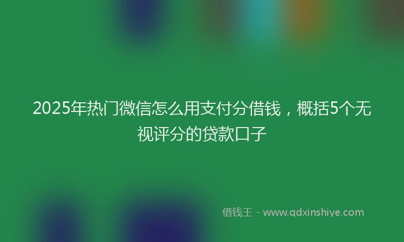 2025年热门微信怎么用支付分借钱，概括5个无视评分的贷款口子