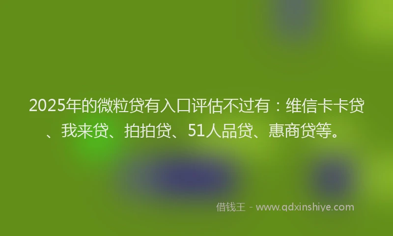 2025年的微粒贷有入口评估不过有：维信卡卡贷、我来贷、拍拍贷、51人品贷、惠商贷等。