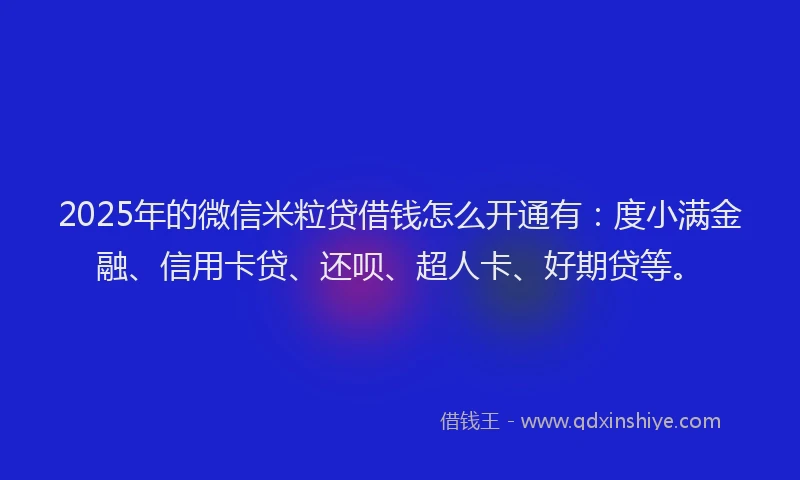 2025年的微信米粒贷借钱怎么开通有：度小满金融、信用卡贷、还呗、超人卡、好期贷等。