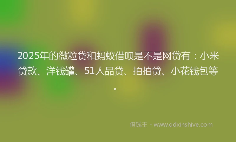 2025年的微粒贷和蚂蚁借呗是不是网贷有：小米贷款、洋钱罐、51人品贷、拍拍贷、小花钱包等。