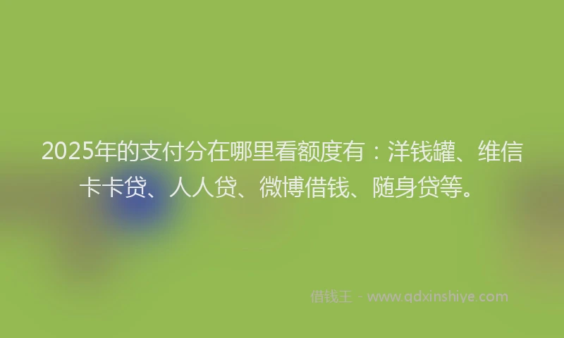 2025年的支付分在哪里看额度有：洋钱罐、维信卡卡贷、人人贷、微博借钱、随身贷等。