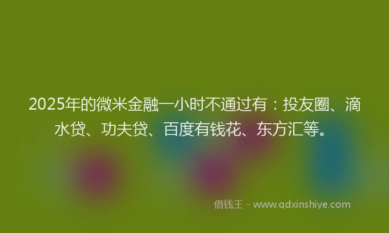 2025年的微米金融一小时不通过有：投友圈、滴水贷、功夫贷、百度有钱花、东方汇等。