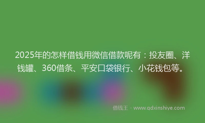 2025年的怎样借钱用微信借款呢有：投友圈、洋钱罐、360借条、平安口袋银行、小花钱包等。