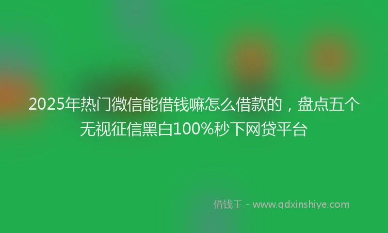 2025年热门微信能借钱嘛怎么借款的，盘点五个无视征信黑白100%秒下网贷平台