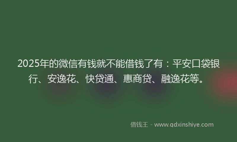 2025年的微信有钱就不能借钱了有：平安口袋银行、安逸花、快贷通、惠商贷、融逸花等。