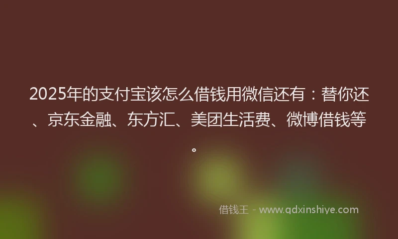 2025年的支付宝该怎么借钱用微信还有：替你还、京东金融、东方汇、美团生活费、微博借钱等。