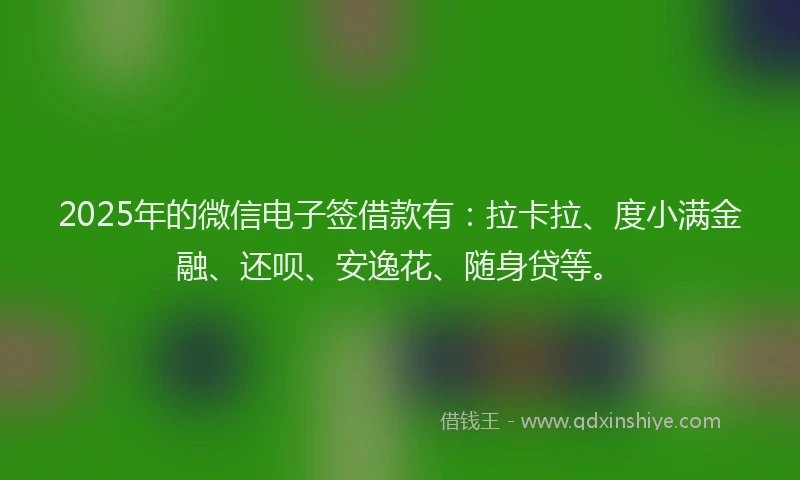 2025年的微信电子签借款有：拉卡拉、度小满金融、还呗、安逸花、随身贷等。