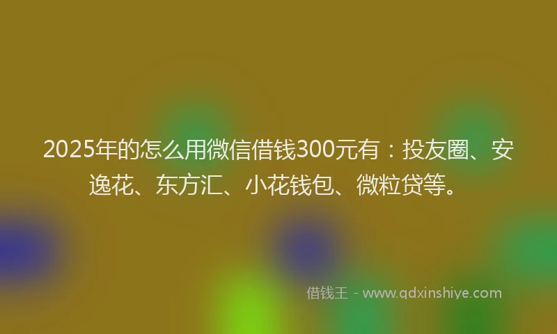 2025年的怎么用微信借钱300元有：投友圈、安逸花、东方汇、小花钱包、微粒贷等。
