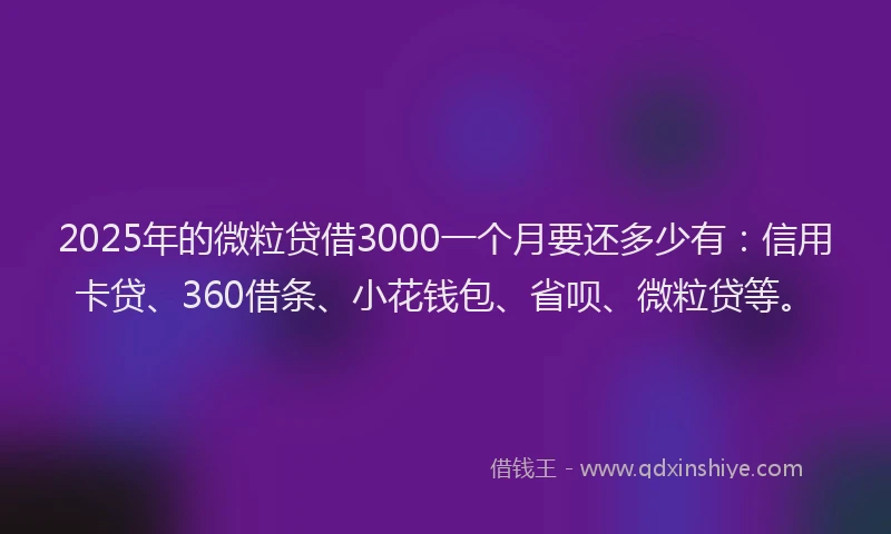 2025年的微粒贷借3000一个月要还多少有：信用卡贷、360借条、小花钱包、省呗、微粒贷等。