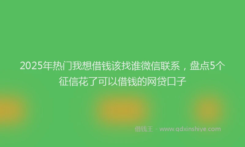 2025年热门我想借钱该找谁微信联系，盘点5个征信花了可以借钱的网贷口子
