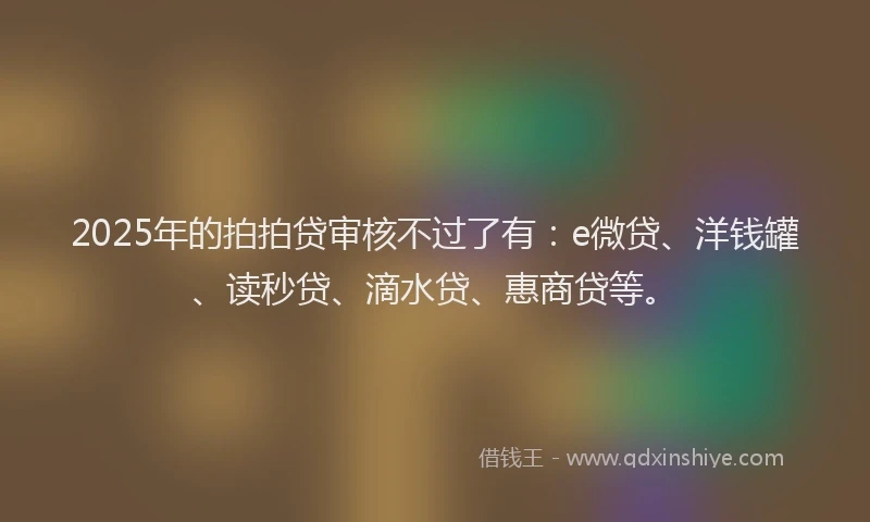 2025年的拍拍贷审核不过了有：e微贷、洋钱罐、读秒贷、滴水贷、惠商贷等。