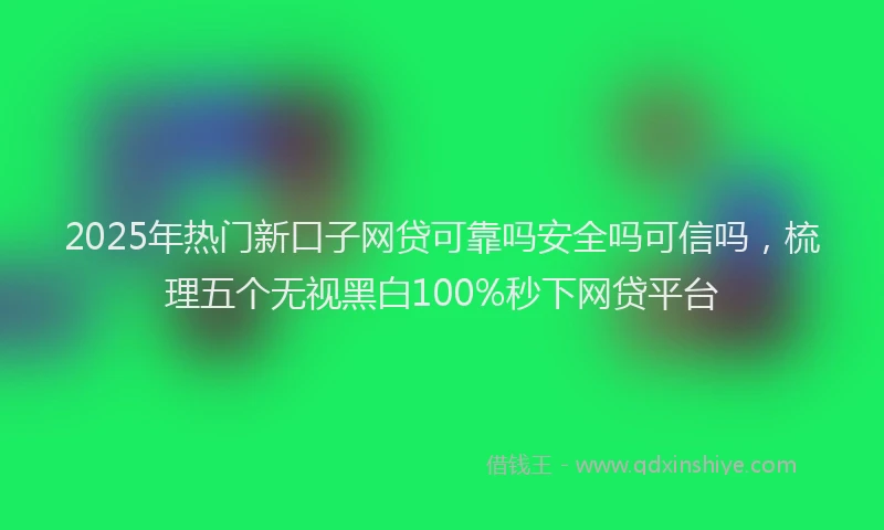 2025年热门新口子网贷可靠吗安全吗可信吗，梳理五个无视黑白100%秒下网贷平台