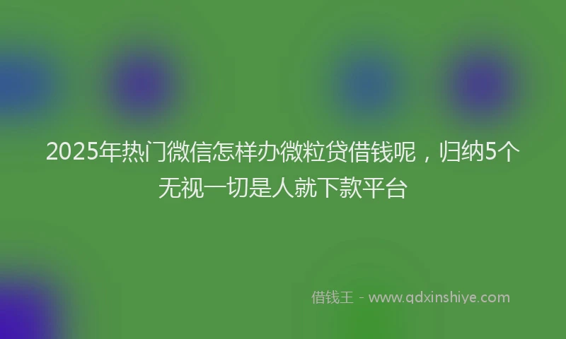 2025年热门微信怎样办微粒贷借钱呢，归纳5个无视一切是人就下款平台