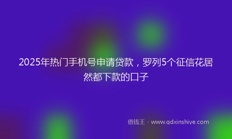 2025年热门手机号申请贷款，罗列5个征信花居然都下款的口子