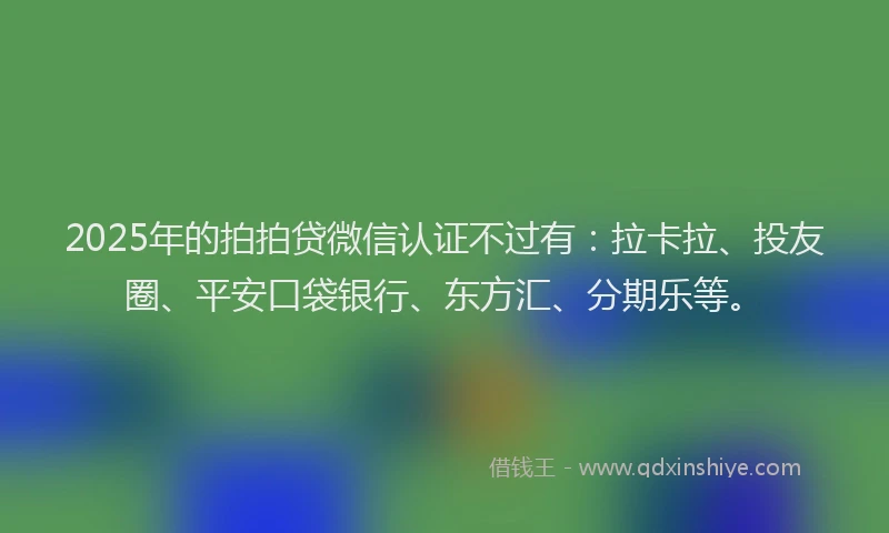 2025年的拍拍贷微信认证不过有：拉卡拉、投友圈、平安口袋银行、东方汇、分期乐等。