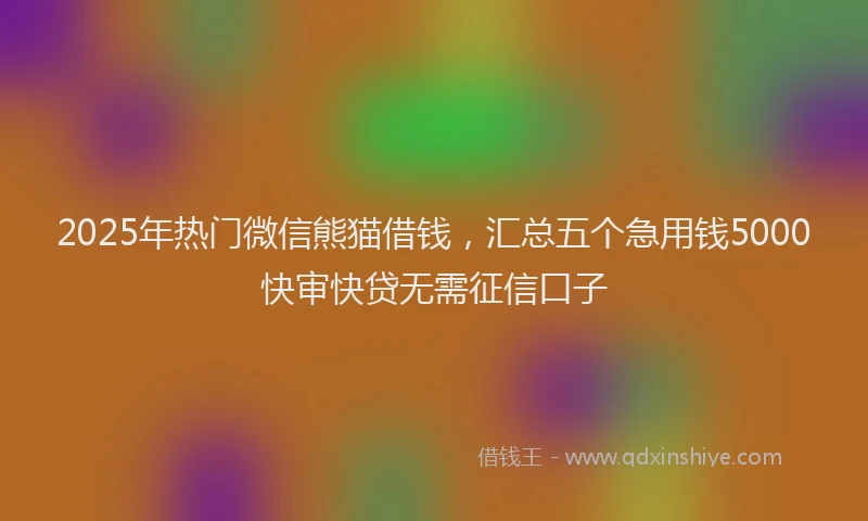 2025年热门微信熊猫借钱，汇总五个急用钱5000快审快贷无需征信口子