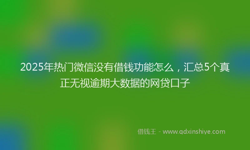 2025年热门微信没有借钱功能怎么，汇总5个真正无视逾期大数据的网贷口子