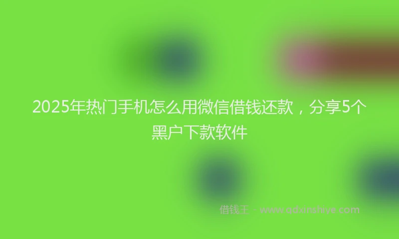 2025年热门手机怎么用微信借钱还款，分享5个黑户下款软件
