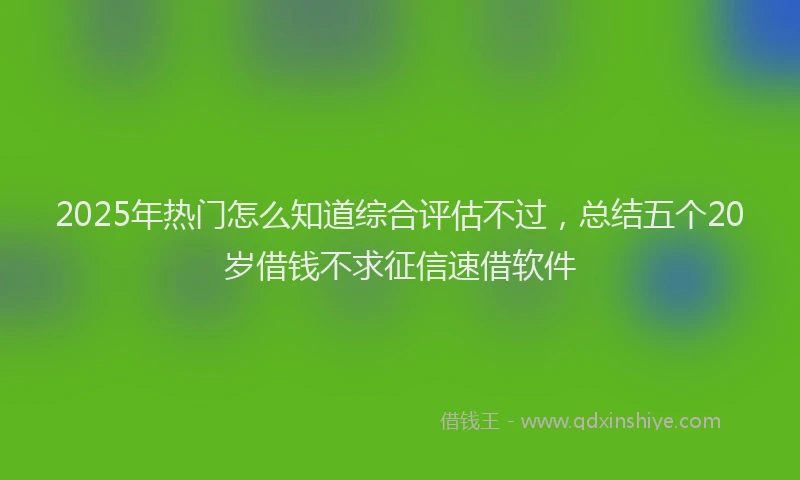2025年热门怎么知道综合评估不过，总结五个20岁借钱不求征信速借软件