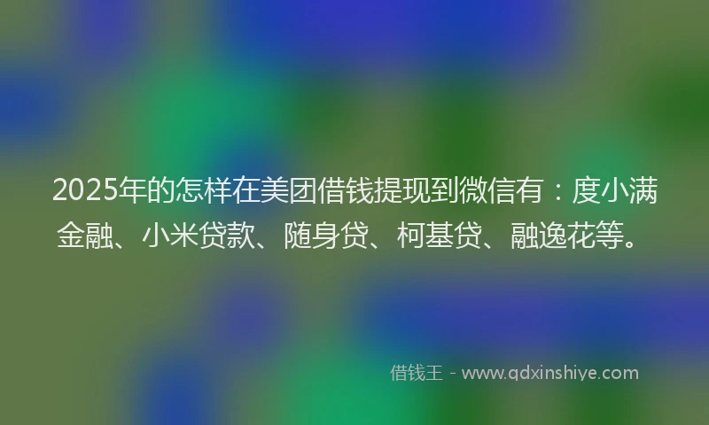 2025年的怎样在美团借钱提现到微信有：度小满金融、小米贷款、随身贷、柯基贷、融逸花等。