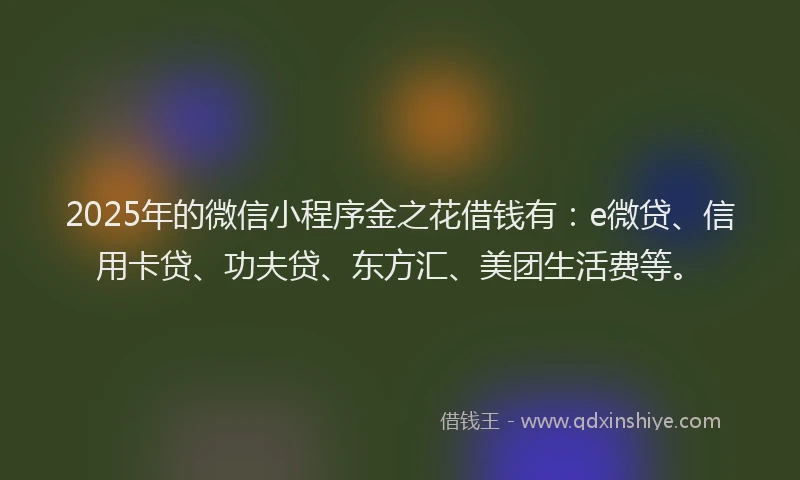 2025年的微信小程序金之花借钱有：e微贷、信用卡贷、功夫贷、东方汇、美团生活费等。