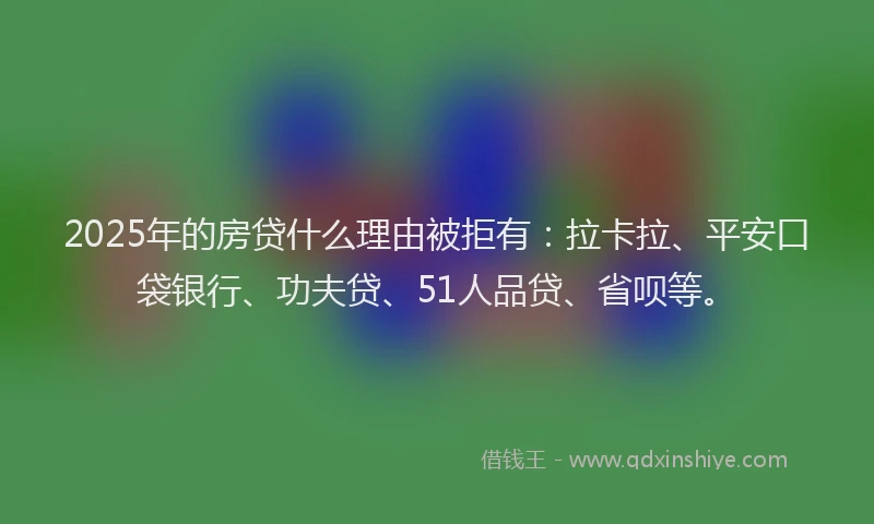 2025年的房贷什么理由被拒有：拉卡拉、平安口袋银行、功夫贷、51人品贷、省呗等。