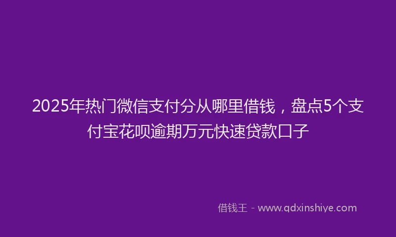 2025年热门微信支付分从哪里借钱，盘点5个支付宝花呗逾期万元快速贷款口子
