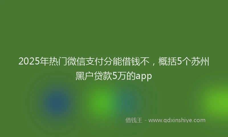 2025年热门微信支付分能借钱不，概括5个苏州黑户贷款5万的app